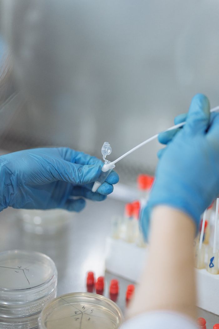 Scientist wearing gloves performing a laboratory procedure with test tubes and swab.