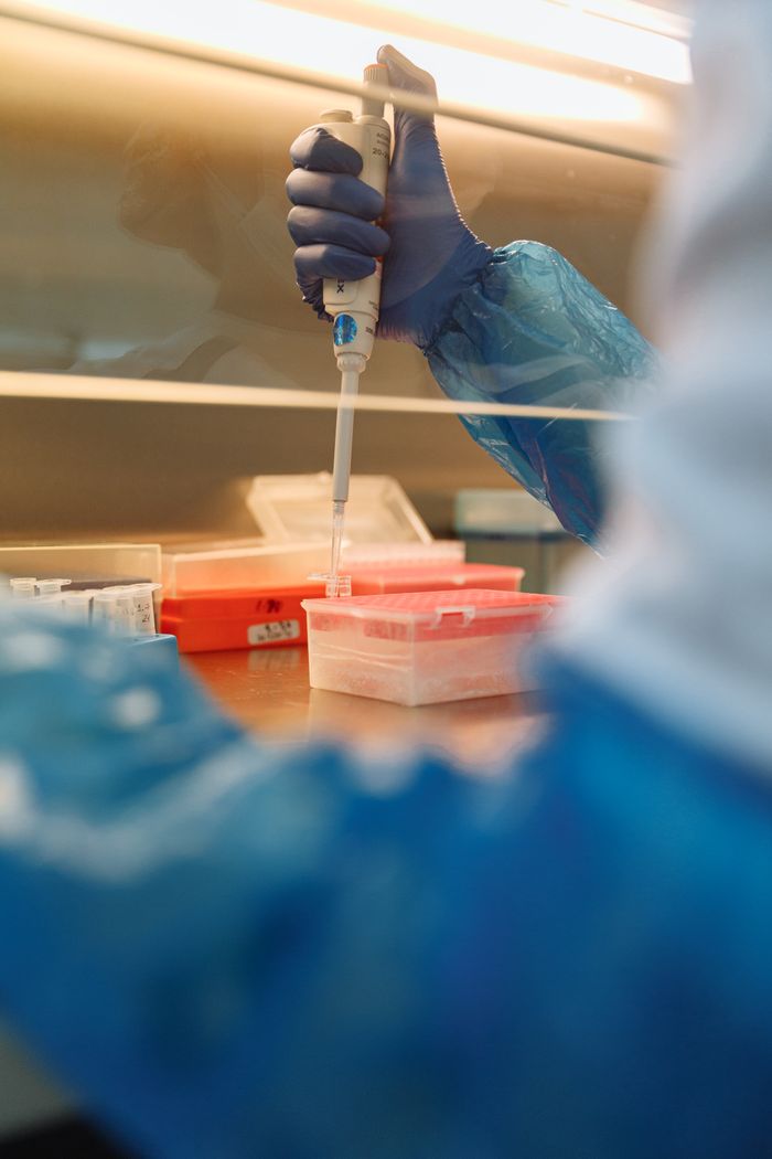 Close-up of a scientist using a pipette in a modern laboratory setting.